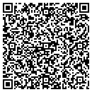 QR-код с контактной информацией организации Нико