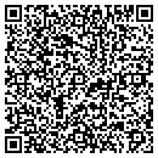 QR-код с контактной информацией организации Tele2, салон связи, ООО Искра