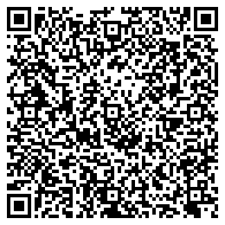 QR-код с контактной информацией организации Скаймоби