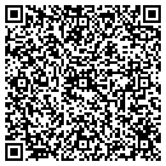 QR-код с контактной информацией организации ИП Семен И.В.