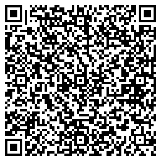 QR-код с контактной информацией организации Лиза, магазин