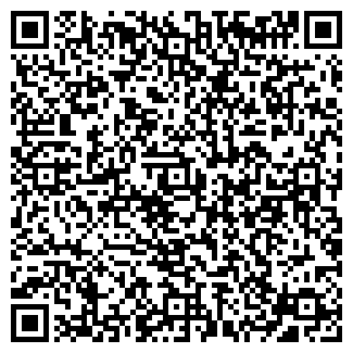 QR-код с контактной информацией организации Деймас, продуктовый магазин