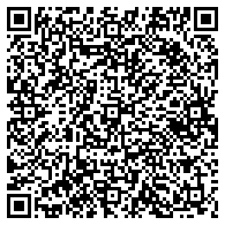 QR-код с контактной информацией организации Тефи