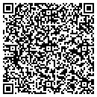 QR-код с контактной информацией организации Сетевое издание «NGS55.RU»