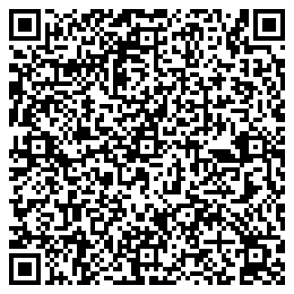 QR-код с контактной информацией организации Лесси