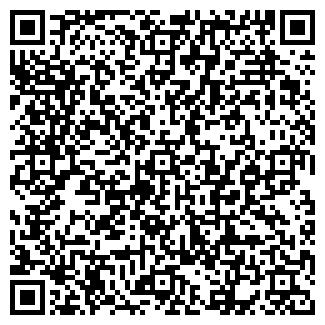 QR-код с контактной информацией организации Дайна
