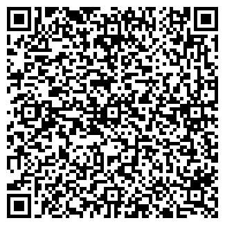QR-код с контактной информацией организации Йошкин Кот
