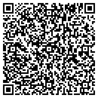 QR-код с контактной информацией организации Праздничный