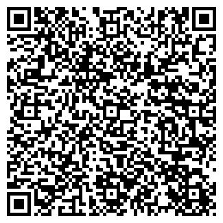 QR-код с контактной информацией организации Василич