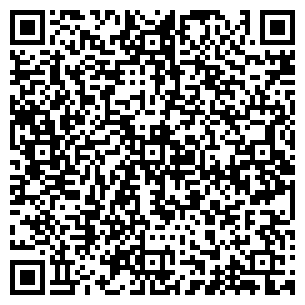 QR-код с контактной информацией организации Алина