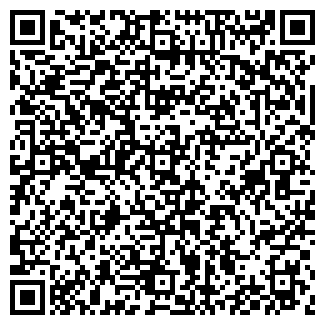 QR-код с контактной информацией организации ИП Воронин В.И.