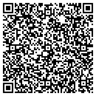 QR-код с контактной информацией организации Детский сад №33