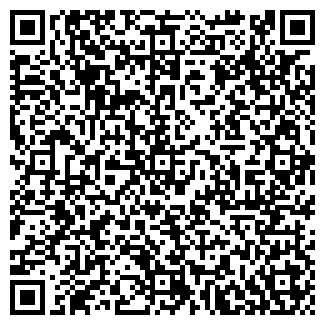 QR-код с контактной информацией организации Вираж, магазин