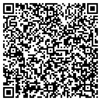 QR-код с контактной информацией организации ИП Орлов Ф.Ю.