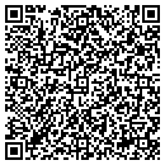 QR-код с контактной информацией организации ИП Маилов М.А.