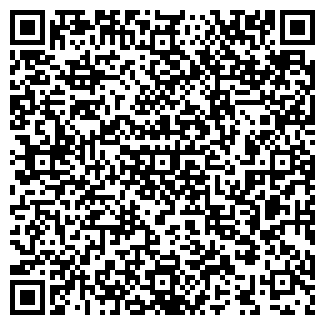 QR-код с контактной информацией организации Алина