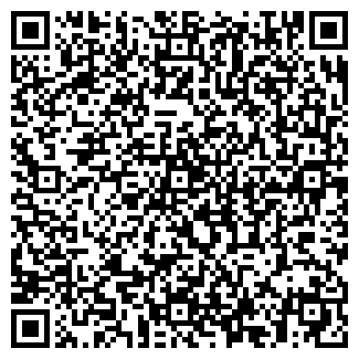 QR-код с контактной информацией организации Автомойка на Лесной, 31