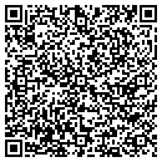 QR-код с контактной информацией организации Автомойка на Садовой, 104