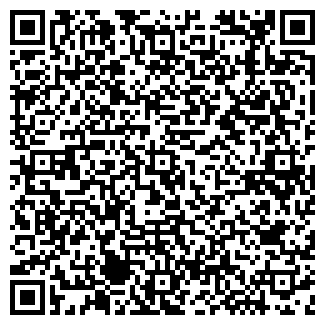 QR-код с контактной информацией организации АЗС Сибойл, №2