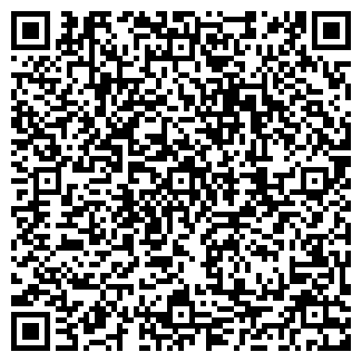 QR-код с контактной информацией организации АЗС Taxioil, №29