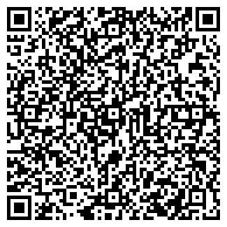 QR-код с контактной информацией организации СТЕФИ, ООО