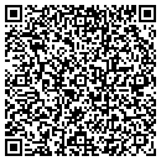 QR-код с контактной информацией организации ШИШКИН А.В., ЧП
