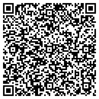 QR-код с контактной информацией организации ВИЛС, ООО