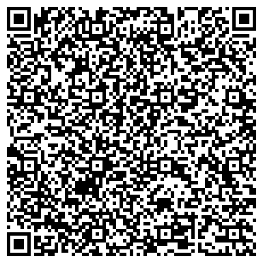 QR-код с контактной информацией организации Лицей искусств, детская школа искусств, г. Тольятти