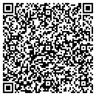 QR-код с контактной информацией организации Пари паб