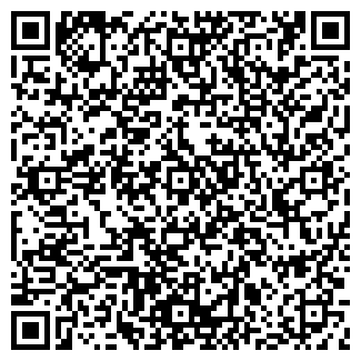 QR-код с контактной информацией организации Пивбар, магазин, ООО Барс