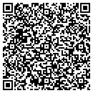 QR-код с контактной информацией организации НОВИНКА ТД