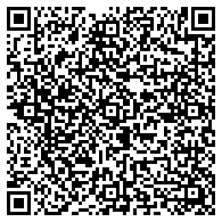 QR-код с контактной информацией организации Cafe Metro