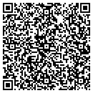 QR-код с контактной информацией организации Багира, кафе