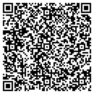 QR-код с контактной информацией организации ШКОЛА № 541
