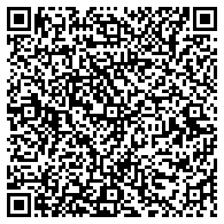 QR-код с контактной информацией организации Лесной