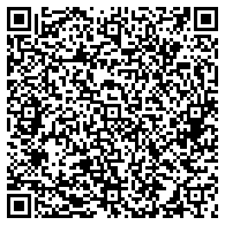 QR-код с контактной информацией организации Мороженое