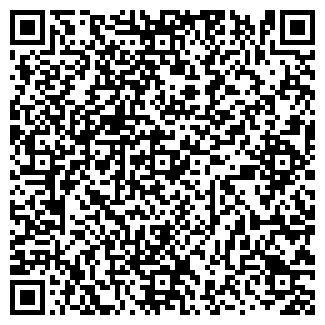 QR-код с контактной информацией организации MDD STUDIO