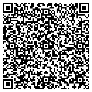 QR-код с контактной информацией организации ВИЗАВИ КАФЕ