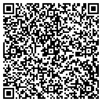 QR-код с контактной информацией организации ВИЗИТ, ЧП