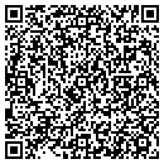 QR-код с контактной информацией организации МЕГАСВЕТ, ООО