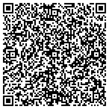 QR-код с контактной информацией организации DVzion, магазин, ООО 1С: Мультимедиа. Сибирь