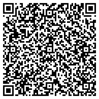 QR-код с контактной информацией организации ЛИЦЕЙ-С ООО RENAISSANCE