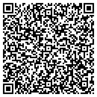 QR-код с контактной информацией организации СОЗВЕЗДИЕ