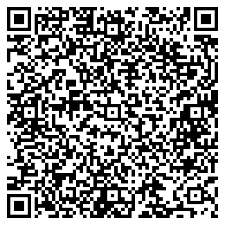 QR-код с контактной информацией организации № 293 ЗВЕЗДОЧКА