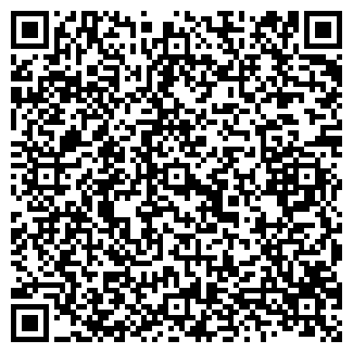 QR-код с контактной информацией организации Бегемотик