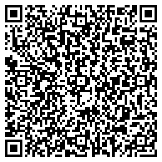 QR-код с контактной информацией организации № 81 ЛУЧ