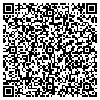 QR-код с контактной информацией организации Ирбис, ресторан