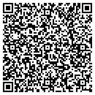 QR-код с контактной информацией организации Мойка на РТС