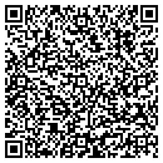 QR-код с контактной информацией организации ИП Иляскина Л.Г.