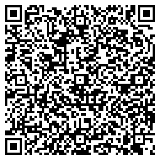 QR-код с контактной информацией организации VIP